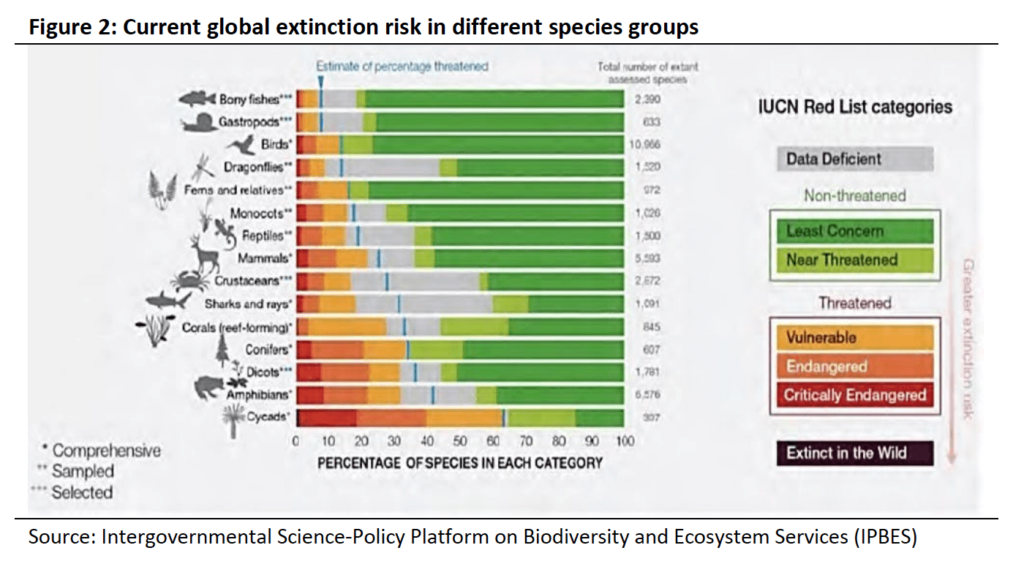 Current global extinction risk in different species groups
