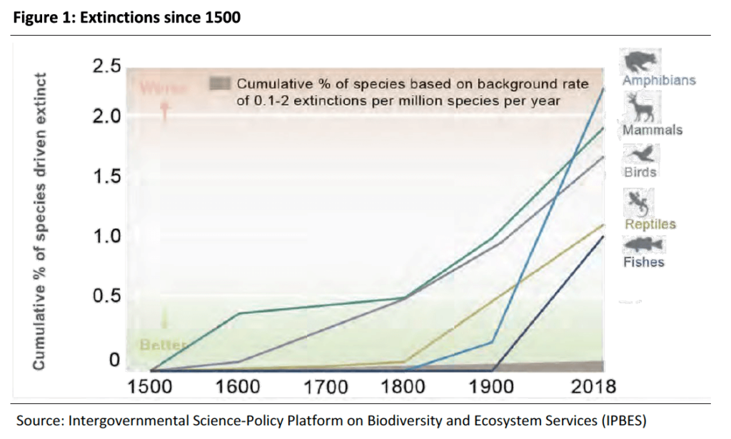 Extinction Since 1500