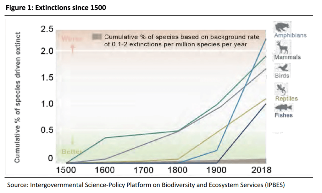 What Happens When a Keystone Species Goes Extinct?