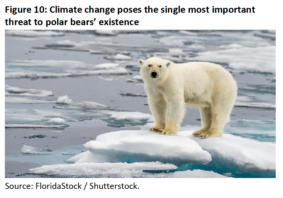 Figure 10- Climate change poses the single most important threat to polar bears’ existence