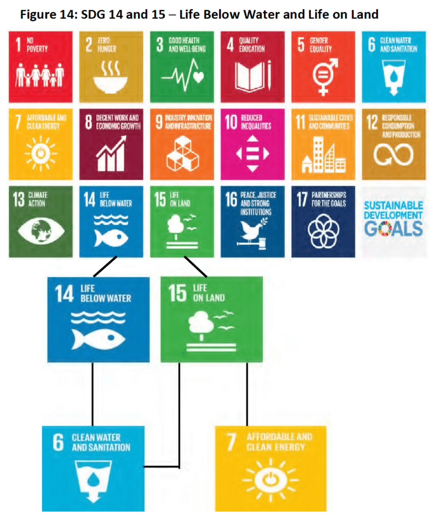 Figure 14- SDG 14 and 15 ─ Life Below Water and Life on Land