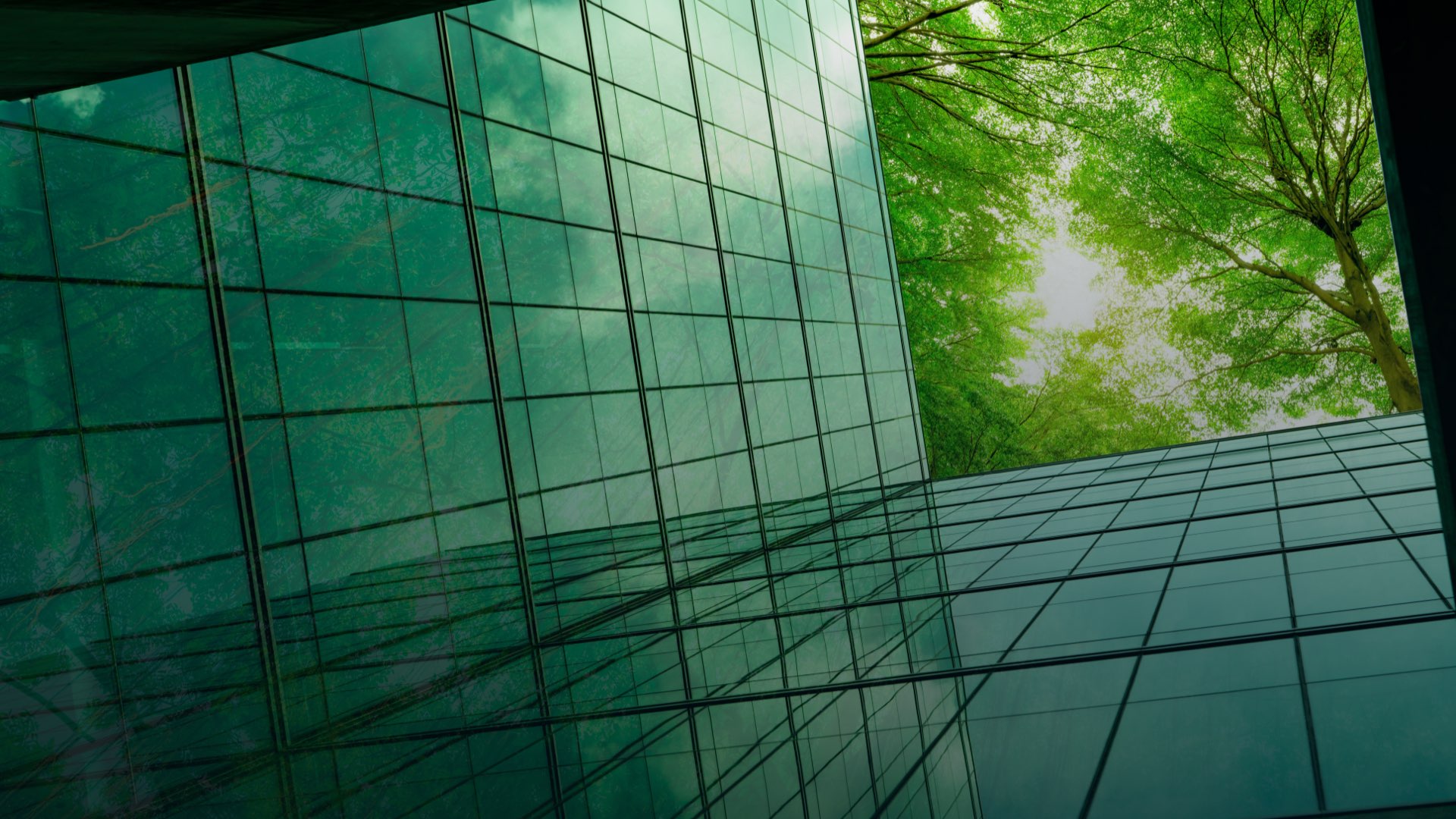 Building with overlooking tree